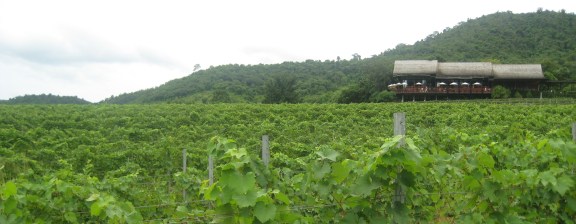 Vista de The Sala desde los viñedos