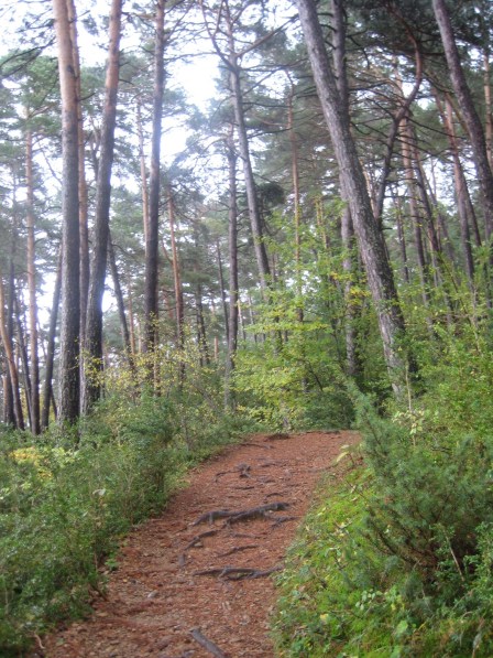Bucólicos paisajes de sendas por la Peña Oroel