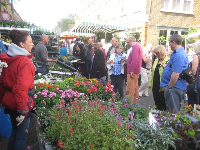 Un domingo cualquiera, comprando flores y plantas