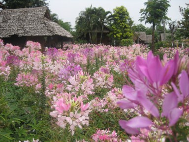 Cabañas rústicas pero con encanto